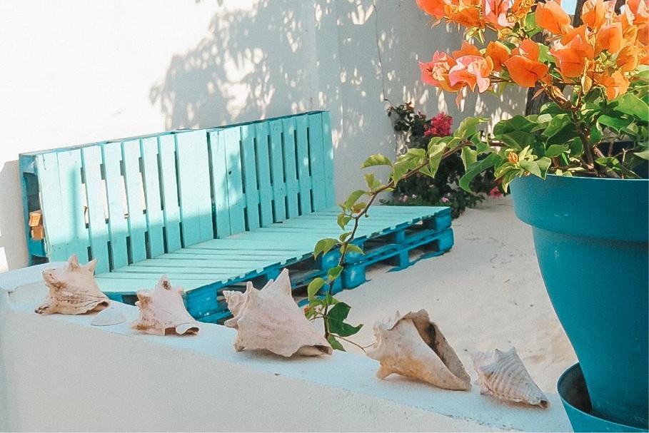 Beachfront Bella Horizonte 7 Savaneta 외부 사진